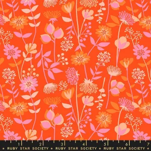 1/2 Yard - Stay Gold Florida RS0021 11 - Ruby Star Society- Melody Miller- Quilting Cotton