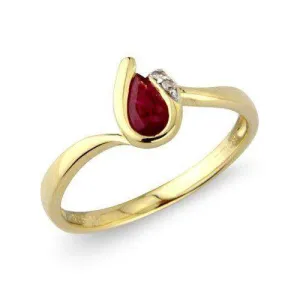 9ct Gold Diamond Ruby Dress Ring - MMCH038-1YDRU