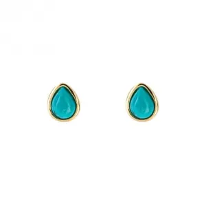 Gold Plated Birthstone December Turquioise Earrings E6213