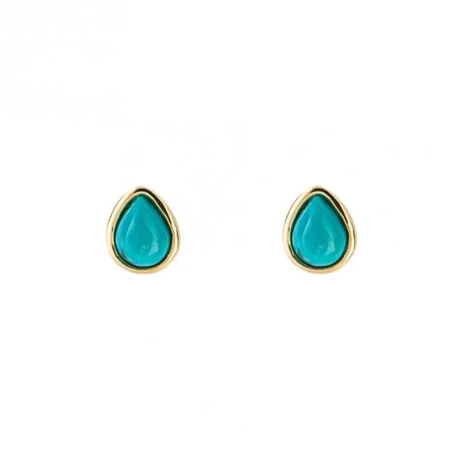 Gold Plated Birthstone December Turquioise Earrings E6213