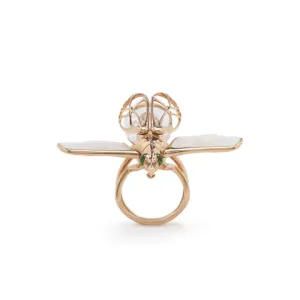 Moving Insect Ring Horned Beatle