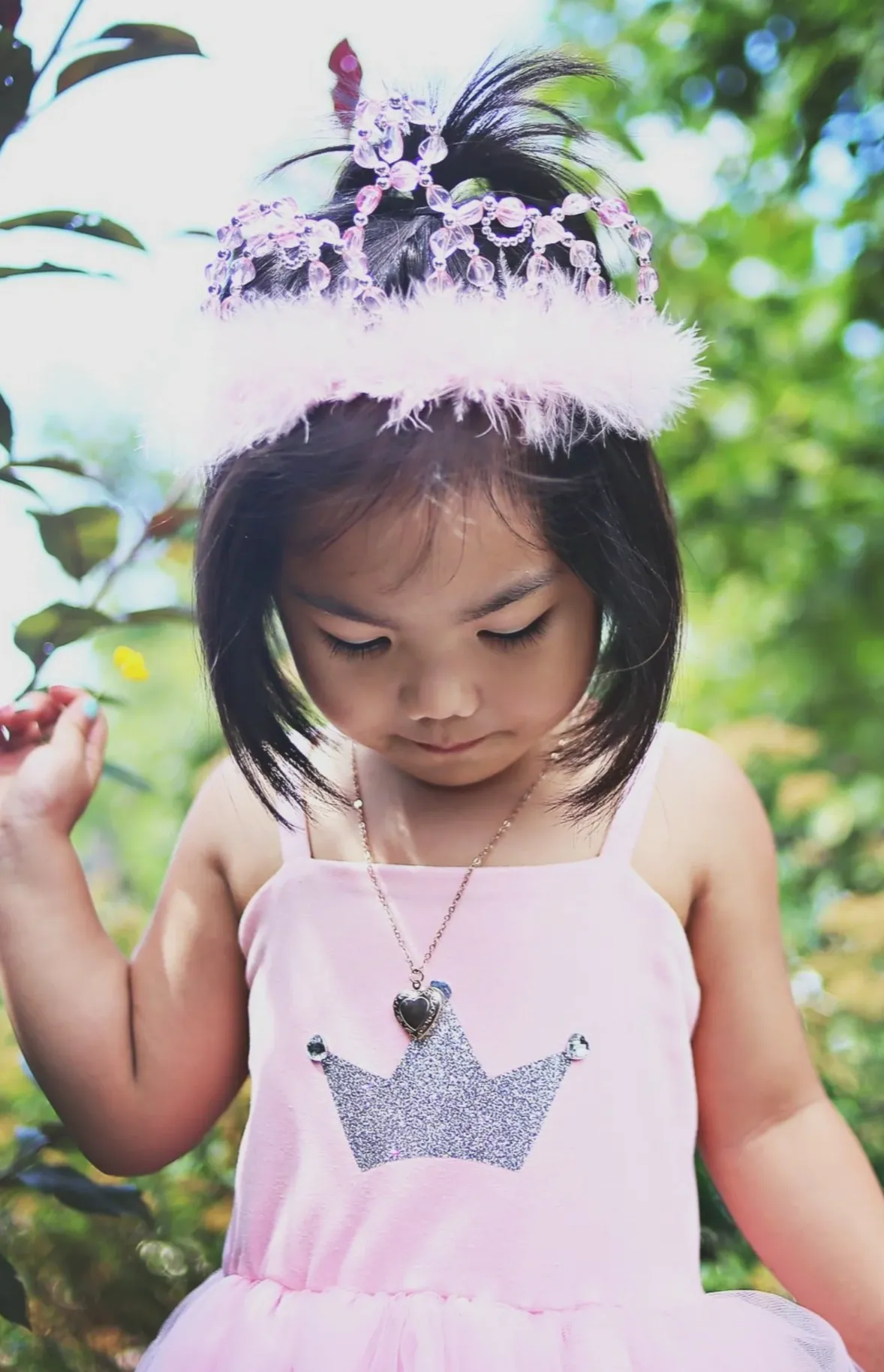 Tiara Princess Pink and Silver